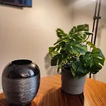 Terro Collection - Dom Pedro V Apartment Braga