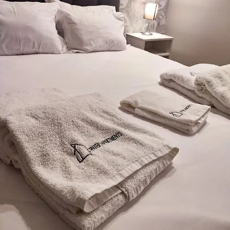 Terro Collection - Dom Pedro V 公寓 布拉加