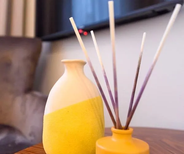 Terro Collection - Dom Pedro V Daire Braga