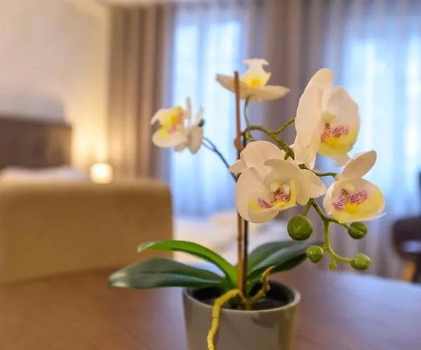 Terro Collection - Dom Pedro V Daire